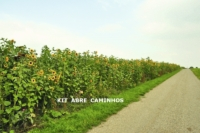 KIT  ABRE CAMINHOS